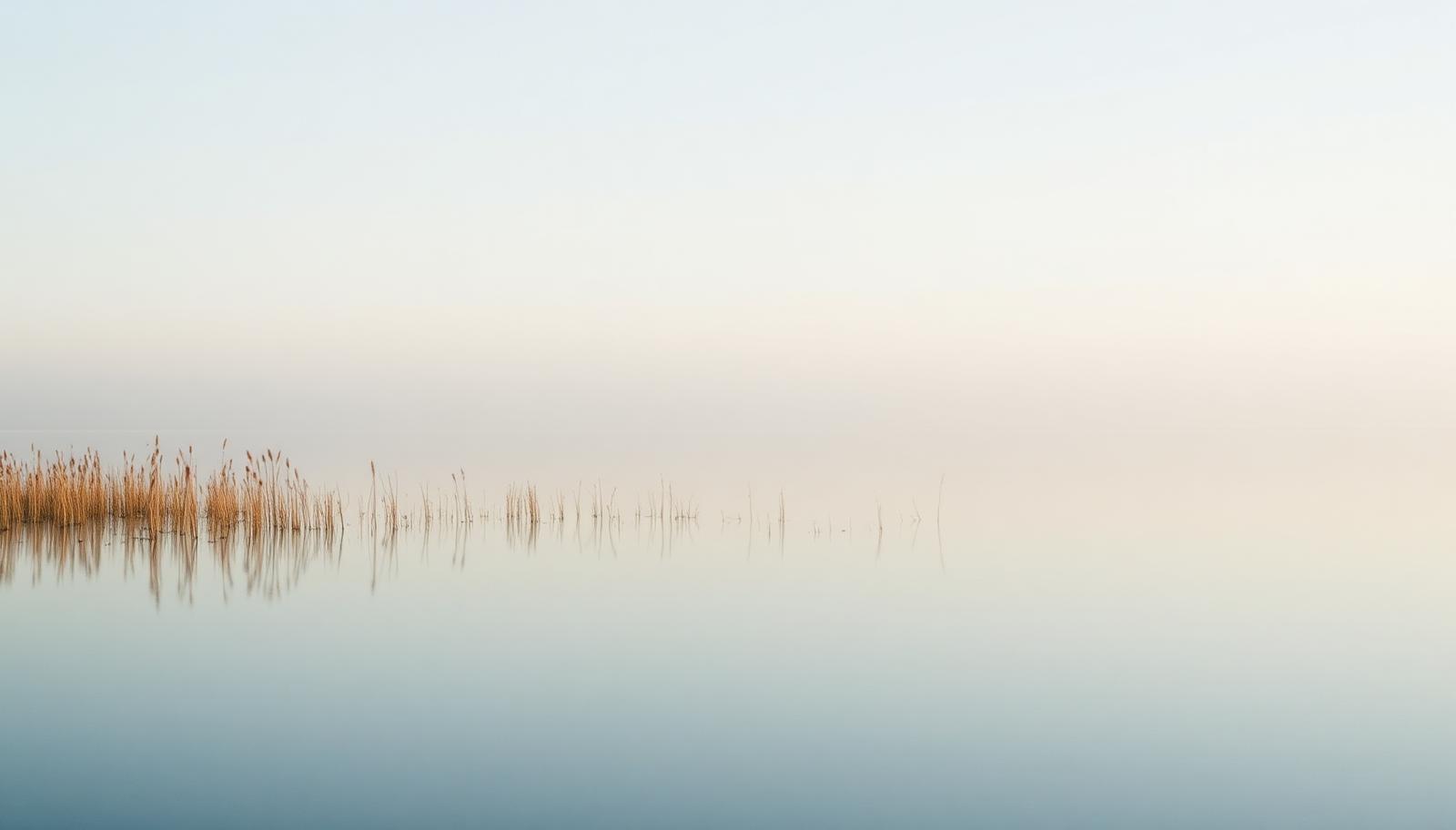 A glassy lakeshore at first light with a few reeds standing in still water