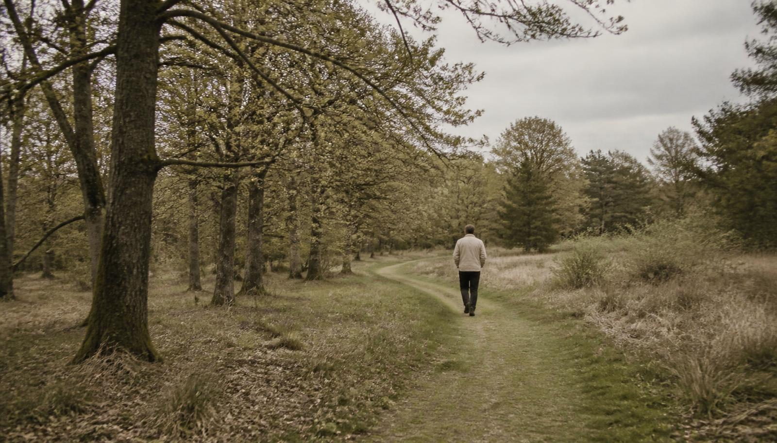 A person walking slowly along a grass path through open woodland